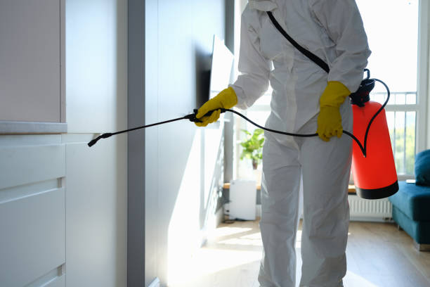 Best Mold Remediation Services  in Sturgis, MI